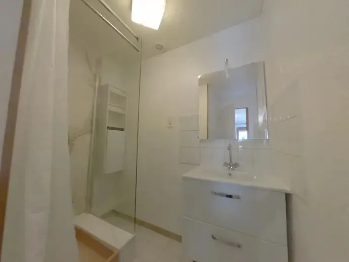 Salle d'eau refaite : douche à l'italienne vitrée, meuble vasque et miroir.