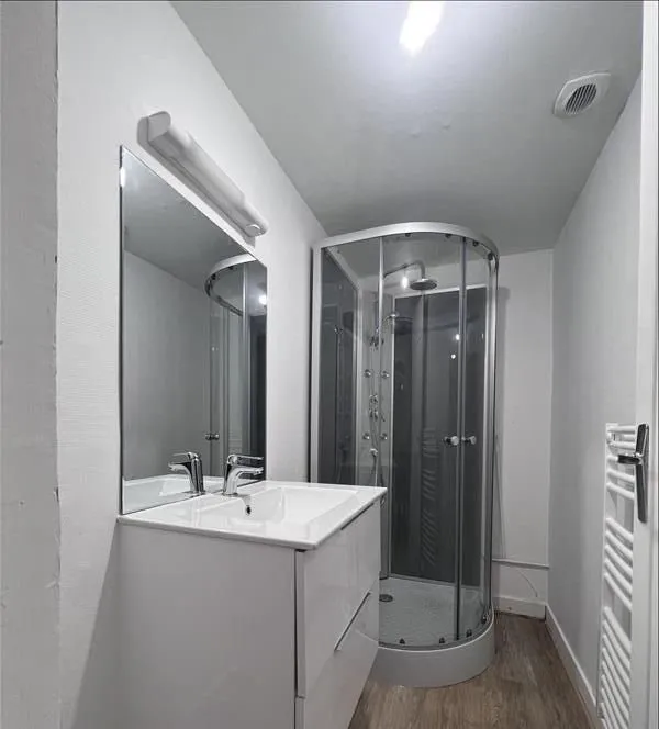 Meuble vasque, miroir et douche vitrée de la salle d'eau.