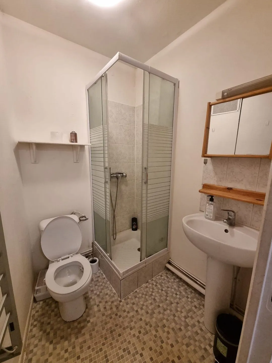 Salle d'eau d'origine : cabine de douche, lavabo, WC et carrelage daté.