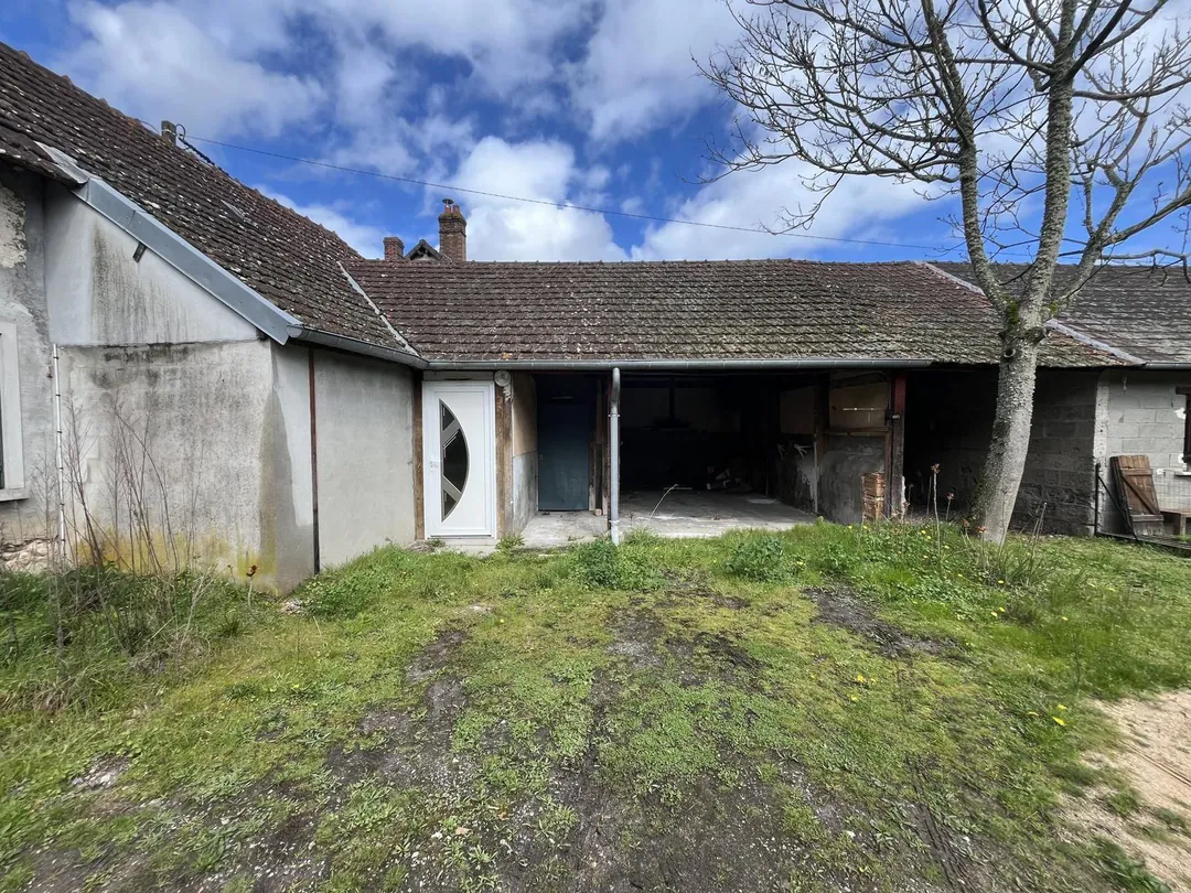 Jardin en friche derrière la maison, herbes hautes et arbre nu.