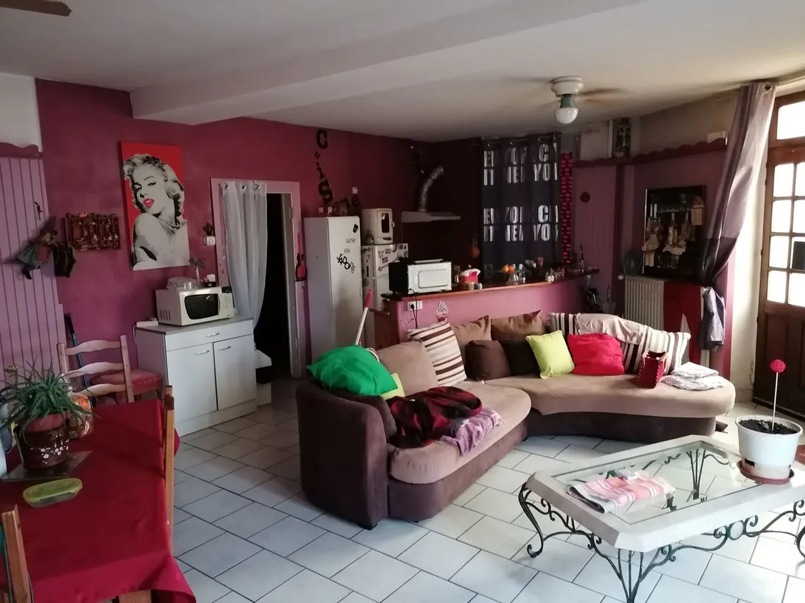 Séjour occupé : canapé, table basse, meuble de télévision et murs colorés.