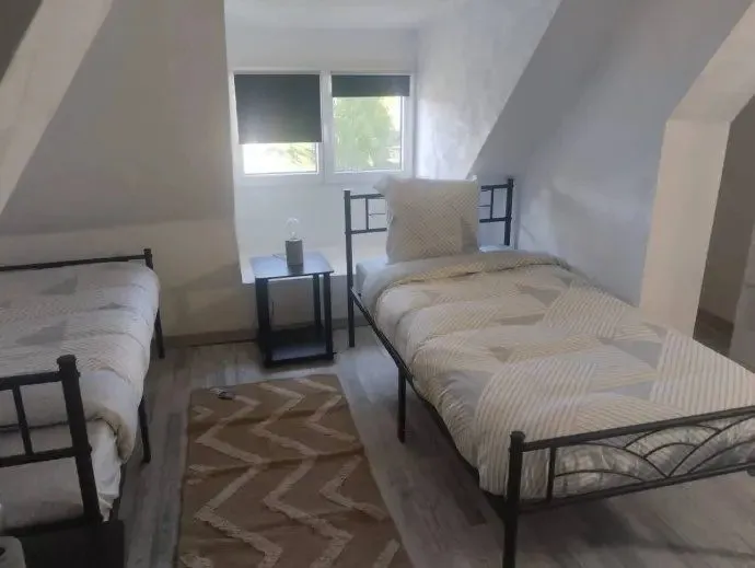Chambre sous rampant avec deux lits simples et tapis.