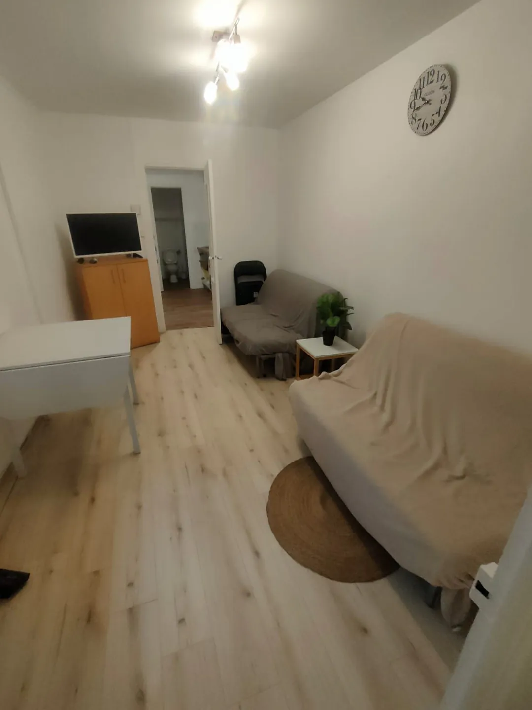 Séjour meublé : canapé clair, tapis rond, bureau et téléviseur.